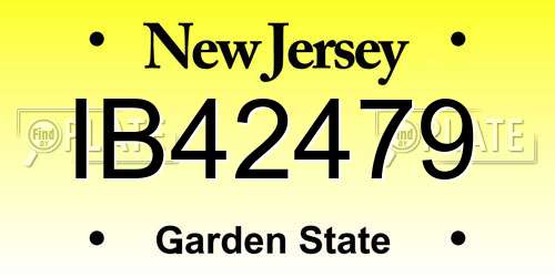 IB42479 New Jersey License Plate