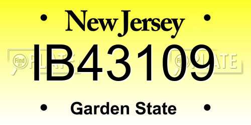 IB43109 New Jersey License Plate