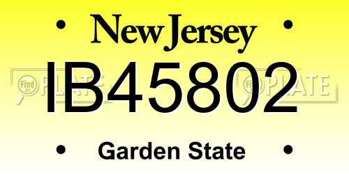 IB45802 New Jersey License Plate