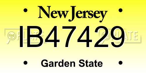 IB47429 New Jersey License Plate