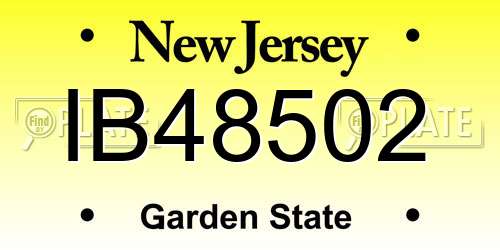 IB48502 New Jersey License Plate