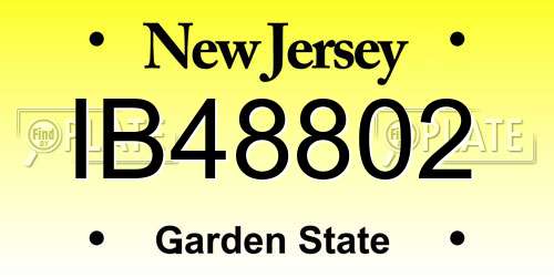 IB48802 New Jersey License Plate