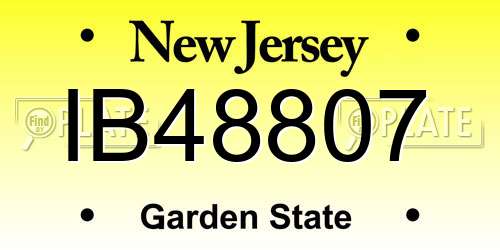 IB48807 New Jersey License Plate