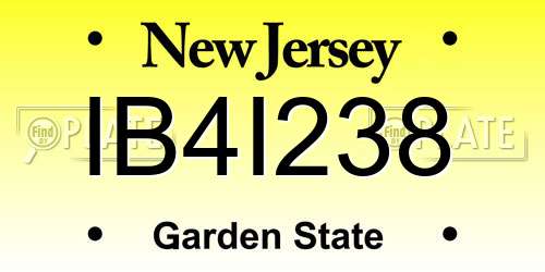 IB4I238 New Jersey License Plate