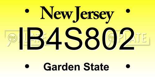 IB4S802 New Jersey License Plate