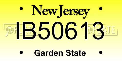 IB50613 New Jersey License Plate