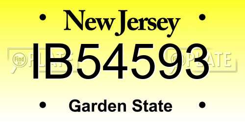 IB54593 New Jersey License Plate