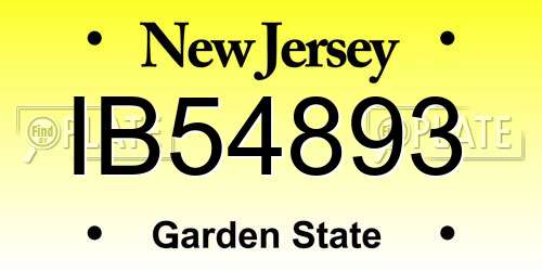 IB54893 New Jersey License Plate