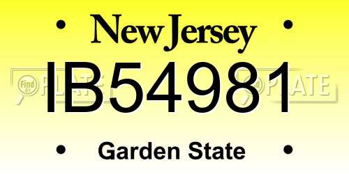 IB54981 New Jersey License Plate