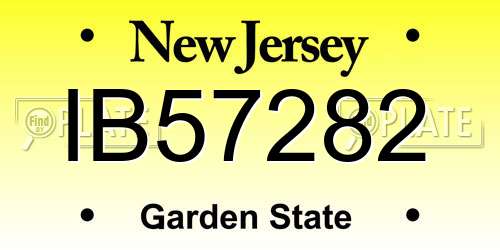 IB57282 New Jersey License Plate
