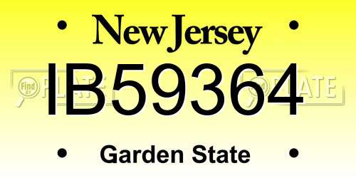 IB59364 New Jersey License Plate
