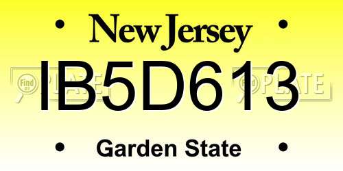 IB5D613 New Jersey License Plate