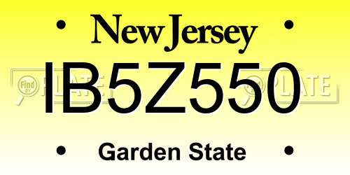 IB5Z550 New Jersey License Plate