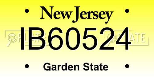IB60524 New Jersey License Plate
