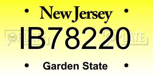 IB78220 New Jersey License Plate