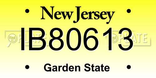 IB80613 New Jersey License Plate