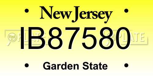 IB87580 New Jersey License Plate