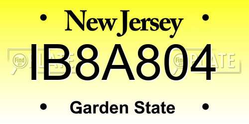 IB8A804 New Jersey License Plate