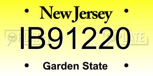 IB91220 New Jersey License Plate