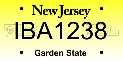 IBA1238 New Jersey License Plate