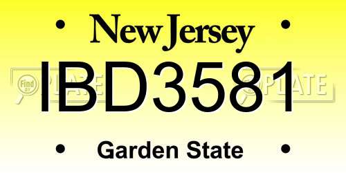 IBD3581 New Jersey License Plate