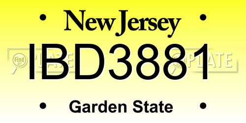 IBD3881 New Jersey License Plate