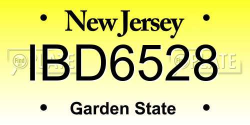 IBD6528 New Jersey License Plate