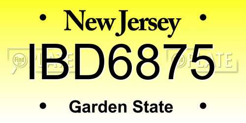 IBD6875 New Jersey License Plate