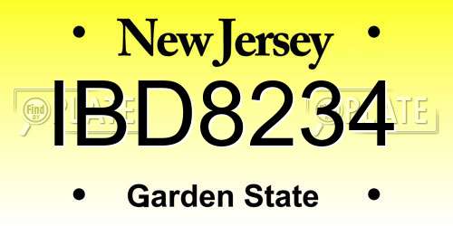 IBD8234 New Jersey License Plate