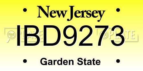 IBD9273 New Jersey License Plate