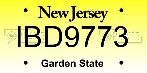 IBD9773 New Jersey License Plate