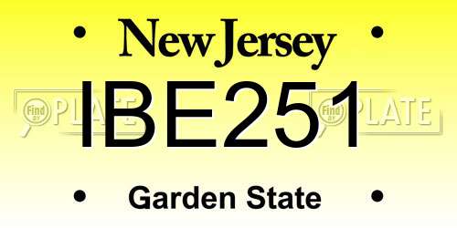 IBE251 New Jersey License Plate