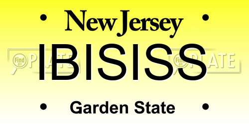 IBISISS New Jersey License Plate