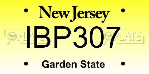 IBP307 New Jersey License Plate