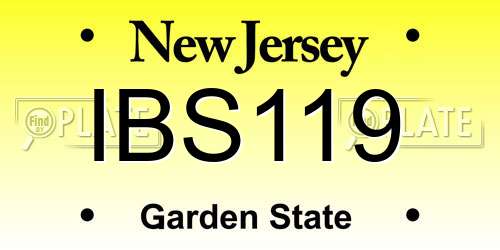 IBS119 New Jersey License Plate