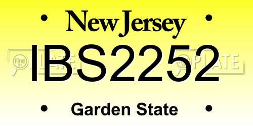IBS2252 New Jersey License Plate