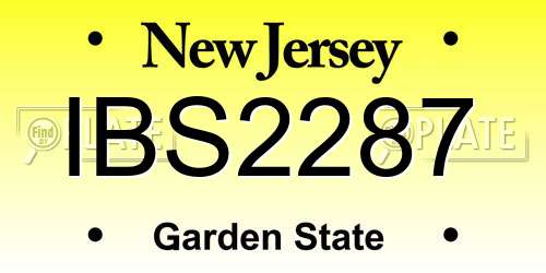 IBS2287 New Jersey License Plate
