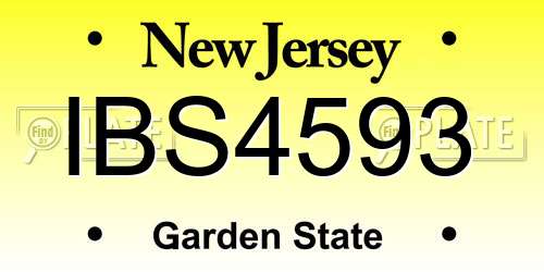 IBS4593 New Jersey License Plate