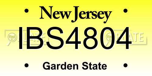 IBS4804 New Jersey License Plate