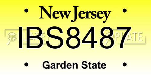 IBS8487 New Jersey License Plate