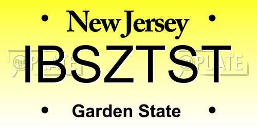 IBSZTST New Jersey License Plate