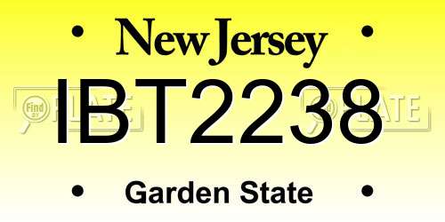 IBT2238 New Jersey License Plate