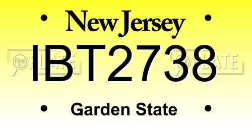 IBT2738 New Jersey License Plate