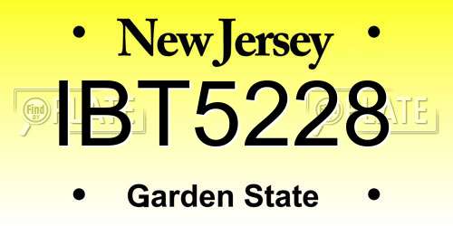 IBT5228 New Jersey License Plate