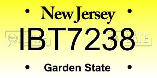 IBT7238 New Jersey License Plate