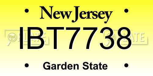 IBT7738 New Jersey License Plate