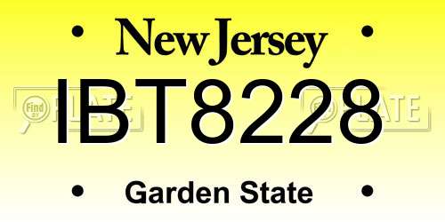 IBT8228 New Jersey License Plate