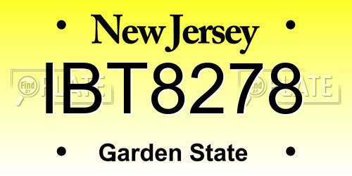 IBT8278 New Jersey License Plate