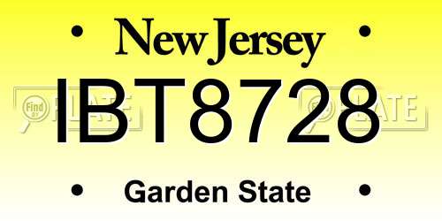 IBT8728 New Jersey License Plate