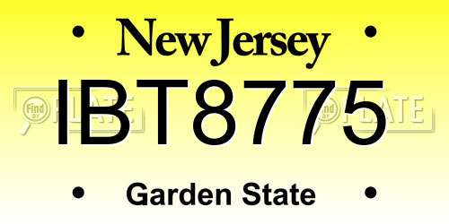 IBT8775 New Jersey License Plate